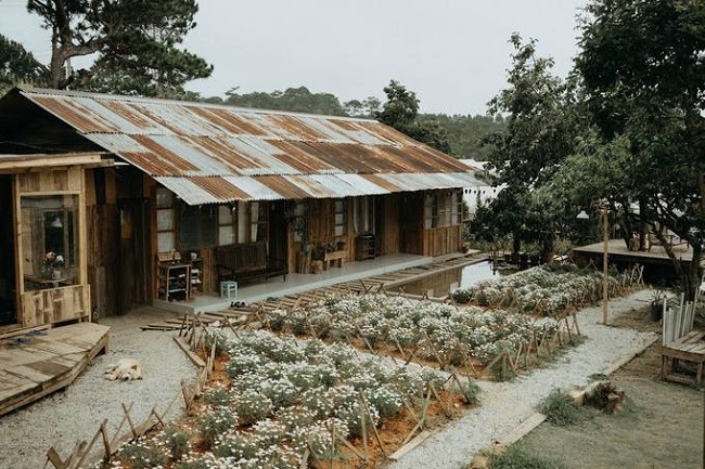 Cafe tại Đà Lạt