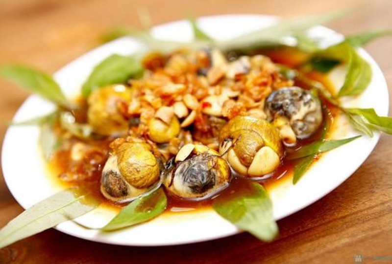 Ốc Mèo