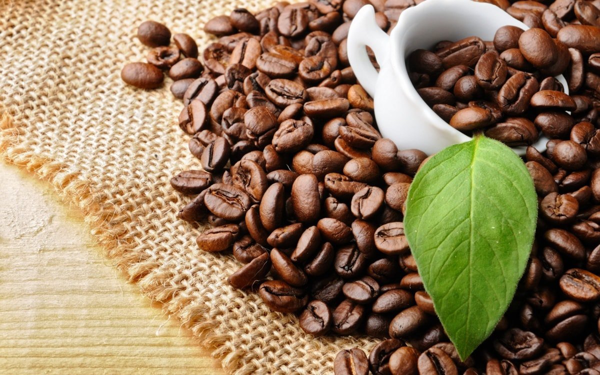 Top 10 nhà cung cấp cà phê nguyên chất giá sỉ uy tính nhất